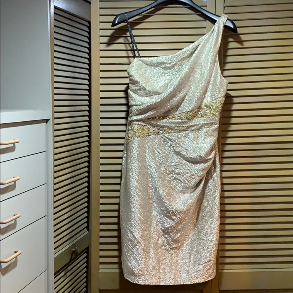 One shoulder glamorous David Meister dress